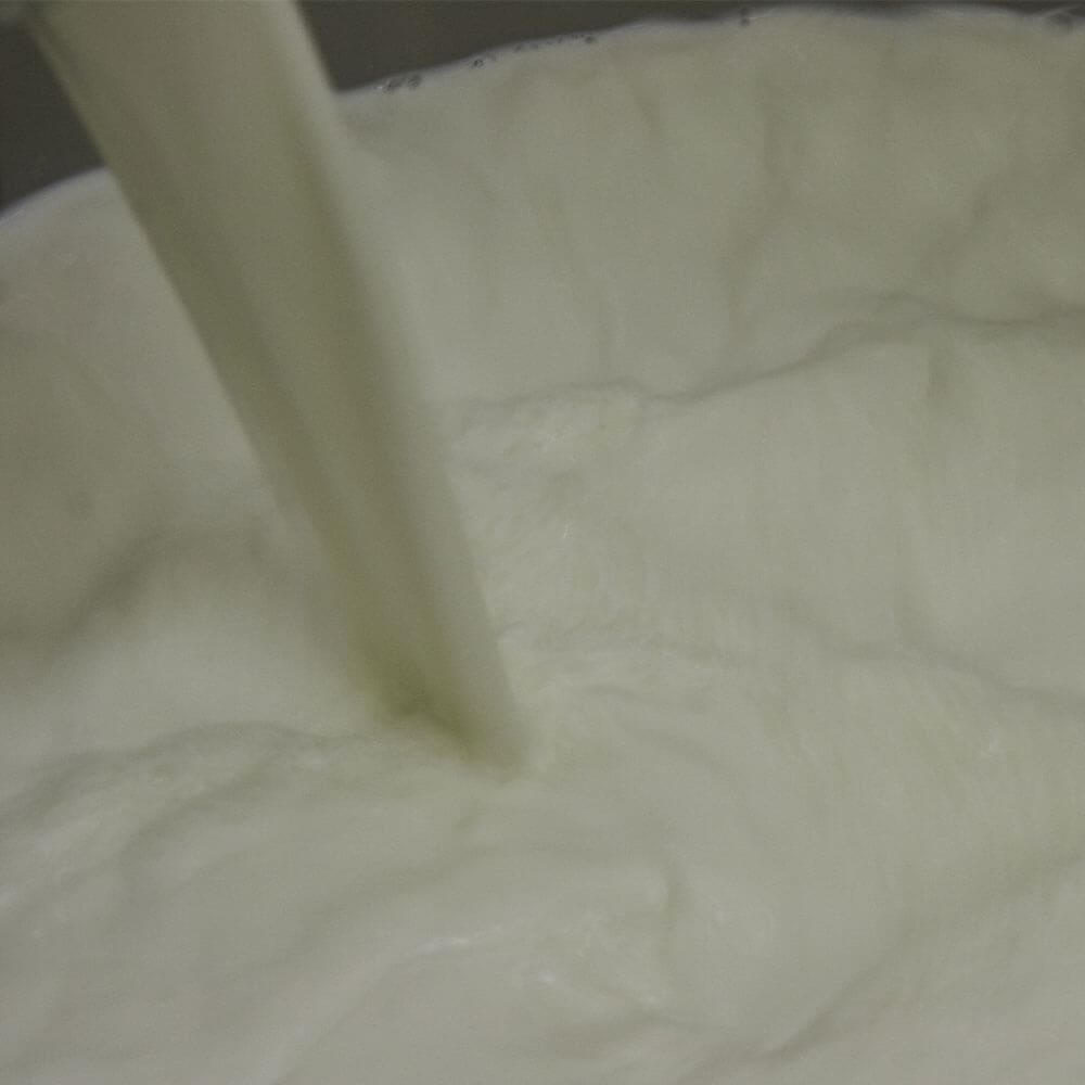 lait de brebis lait de brebis